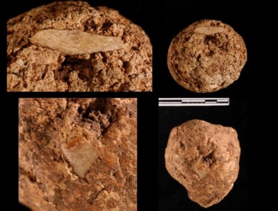 Figure 3. Sample of coprolites. Author’s own.